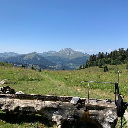 Chalet Yuki Morzine Exteriér fotografie